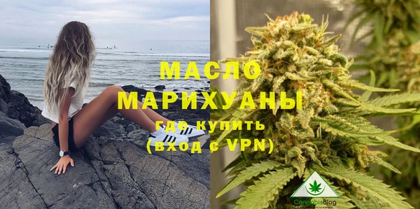 сатива Алзамай