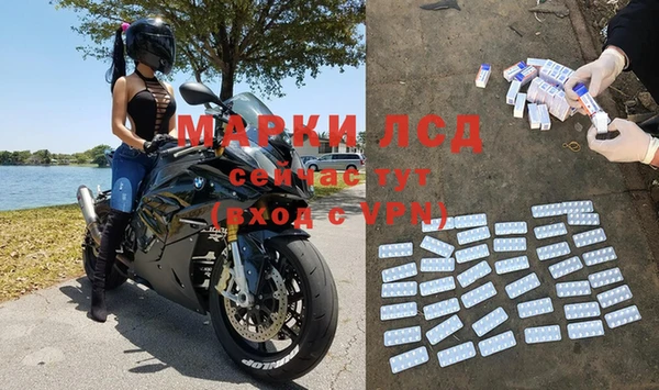 сатива Алзамай