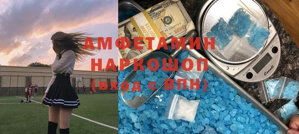 ешки Алексин