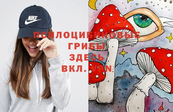 ешки Алексин