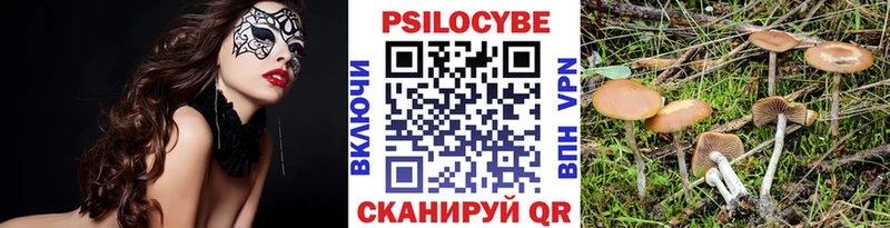 Псилоцибиновые грибы Psilocybe Ступино